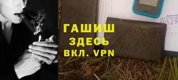 МДПВ Инсар