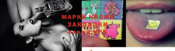 МДПВ Инсар