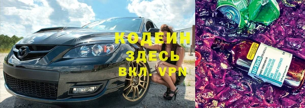 МДПВ Инсар