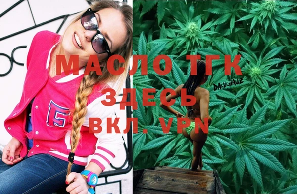 МДПВ Инсар