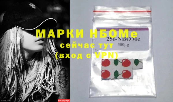 МДПВ Инсар