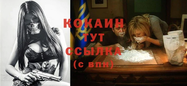 МДПВ Инсар