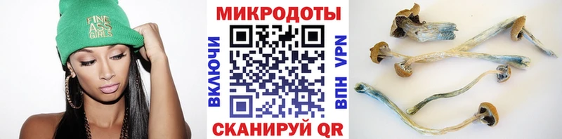 Псилоцибиновые грибы Psilocybe  Купить где  Лермонтов 